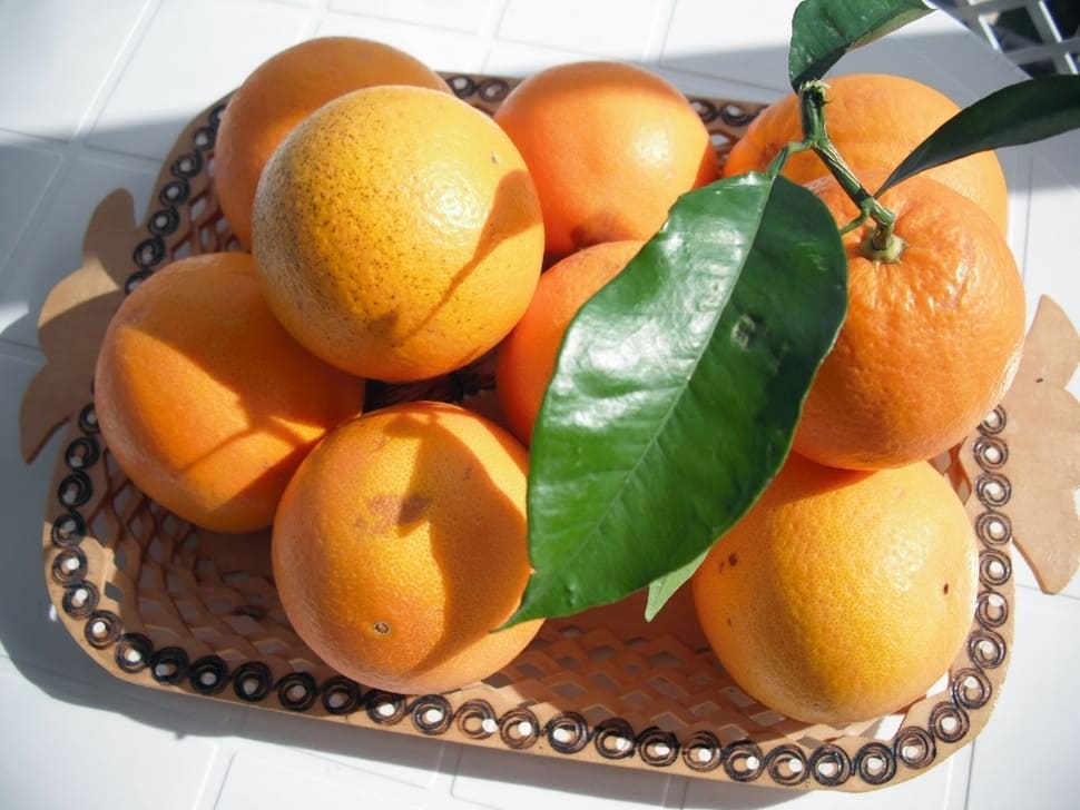 Recogida de naranjas2 R